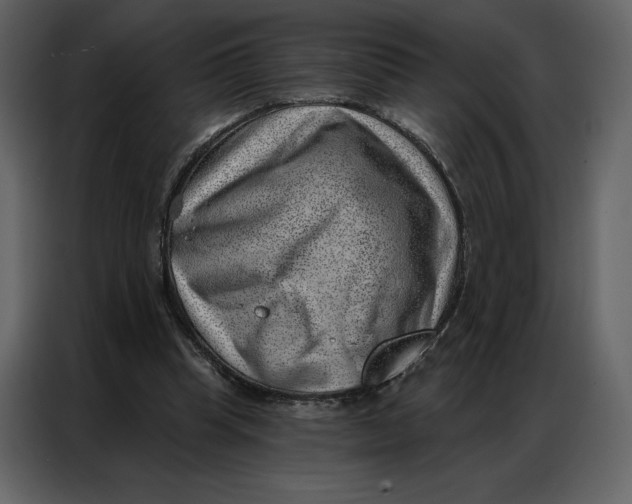 X0000086980345200705071421