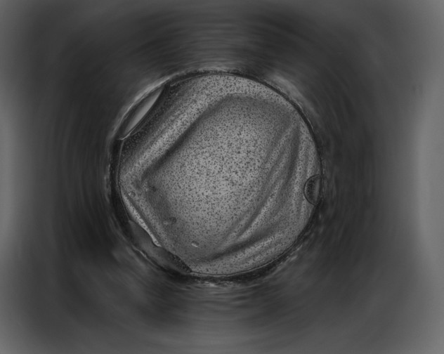 X0000086980346200705071421