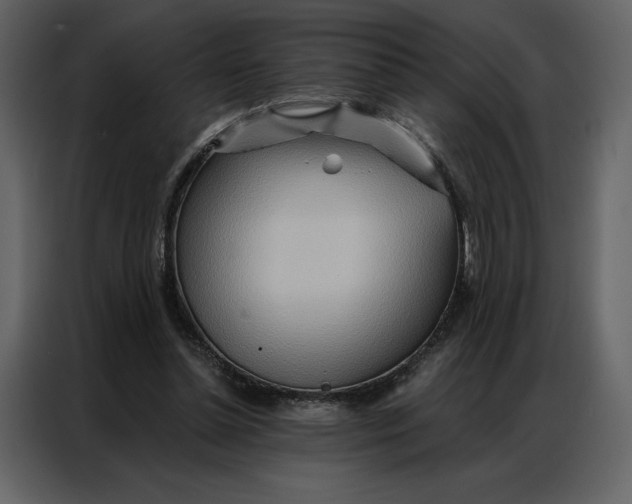 X0000086980348200705071421