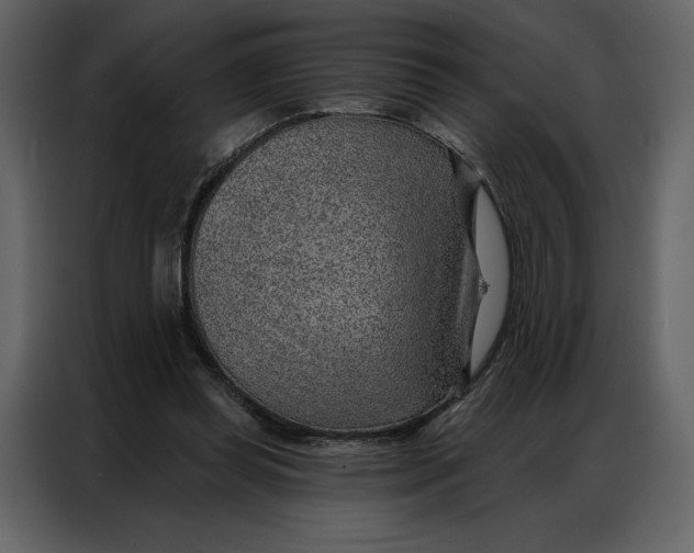 X0000086980349200705071421