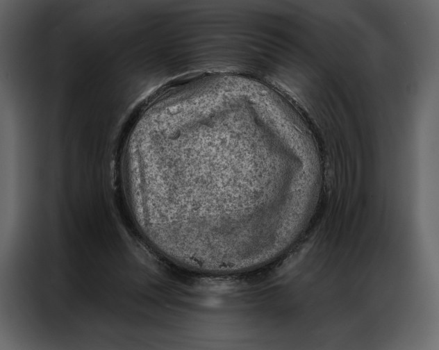 X0000086980351200705071421