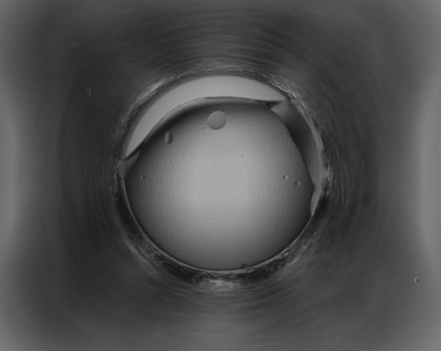 X0000086980352200705071421