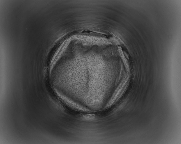 X0000086980355200705071421