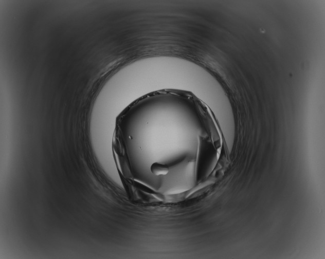 X0000086980356200705071421