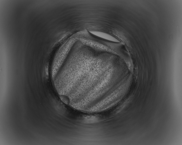 X0000086980358200705071421