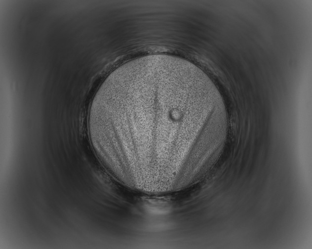 X0000086980359200705071421