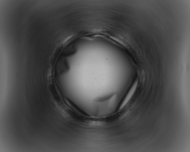 X0000086980360200705071421