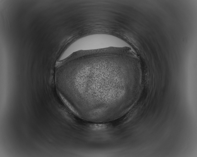 X0000086980361200705071421