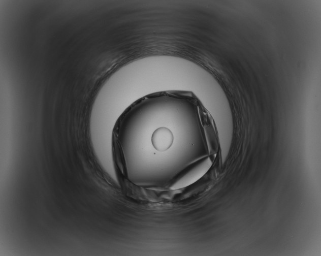 X0000086980362200705071421