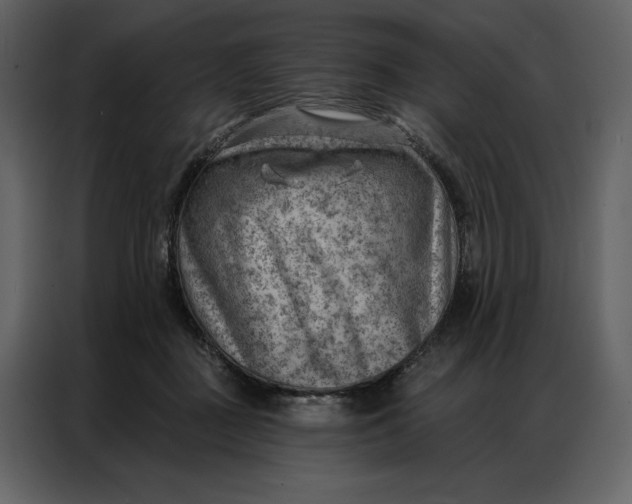 X0000086980363200705071421