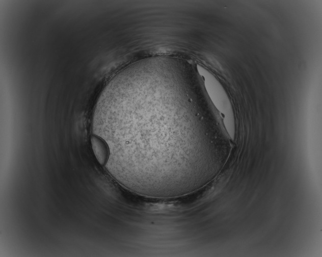 X0000086980366200705071421