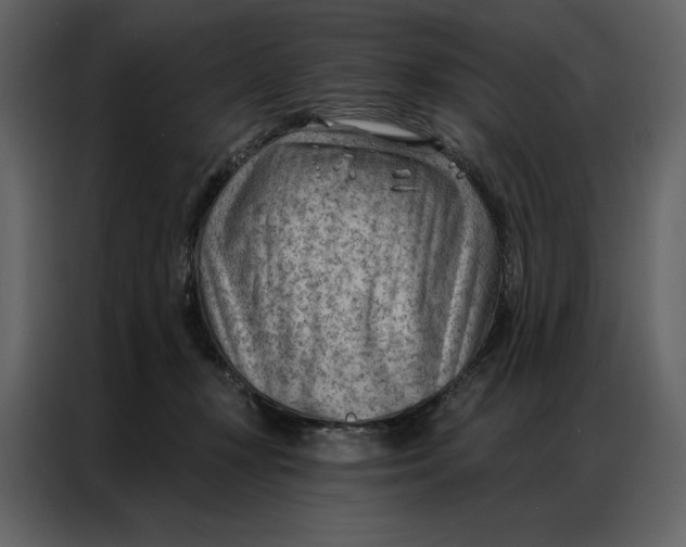 X0000086980367200705071421