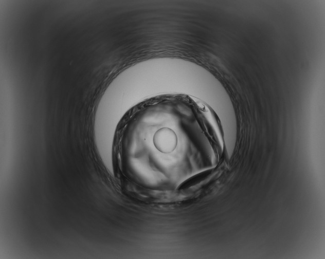 X0000086980368200705071421