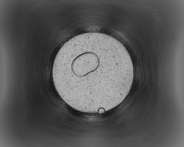 X0000086980370200705071421