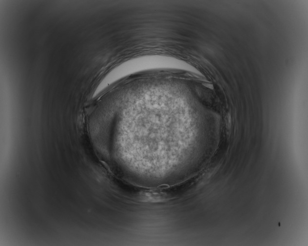 X0000086980372200705071421