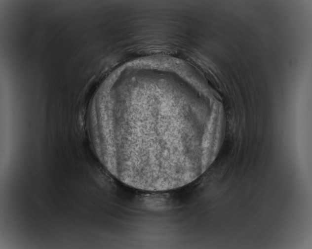 X0000086980373200705071421