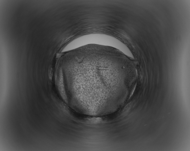 X0000086980374200705071421