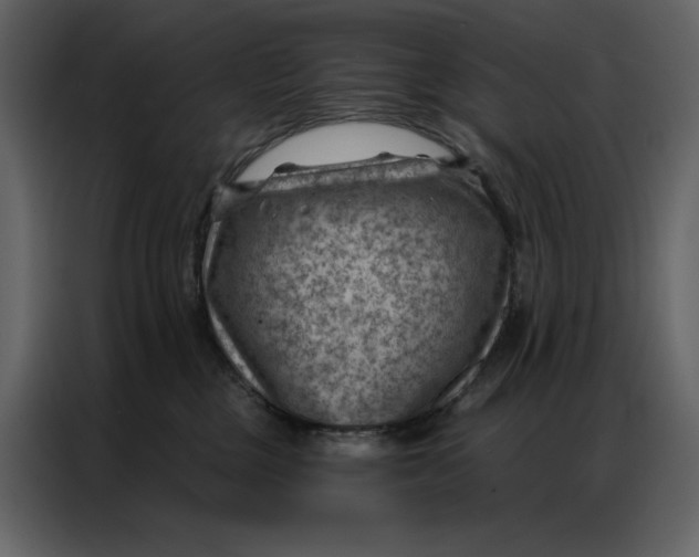 X0000086980377200705071421