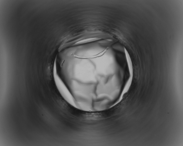 X0000086980378200705071421