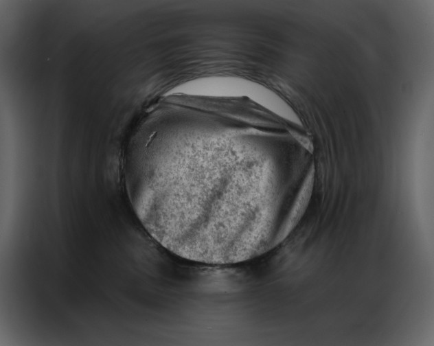 X0000086980379200705071421