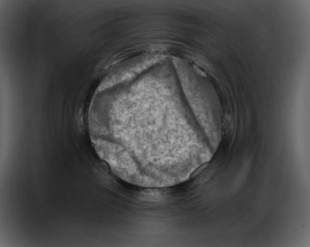 X0000086980381200705071421