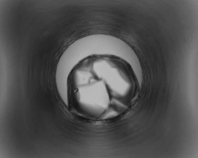 X0000086980382200705071421