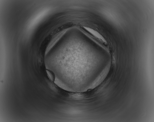 X0000086980383200705071421