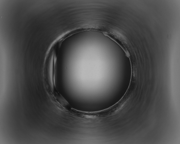 X0000086980388200705071421