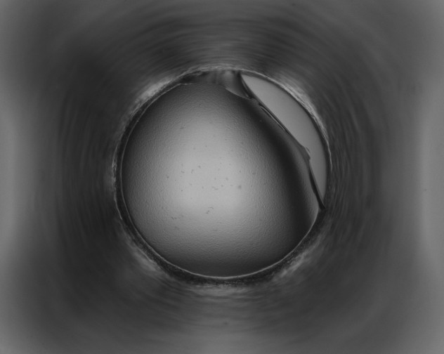 X0000086980389200705071421