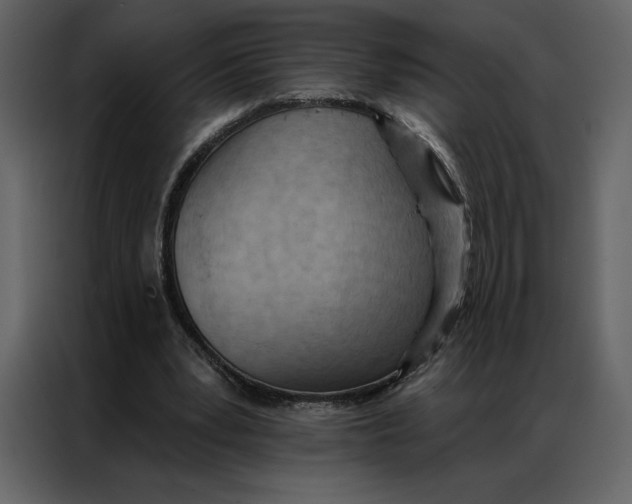 X0000086980391200705071421