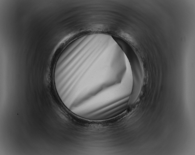 X0000086980392200705071421