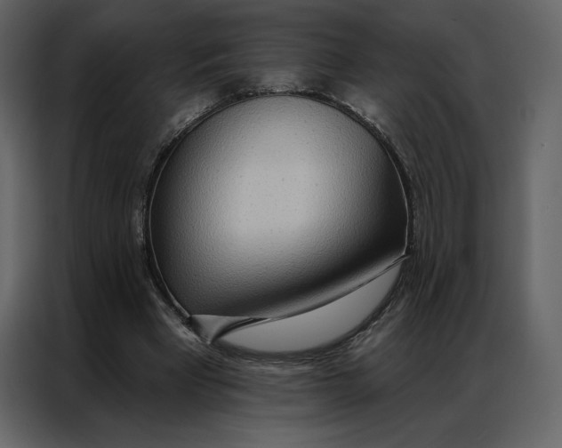 X0000086980393200705071421