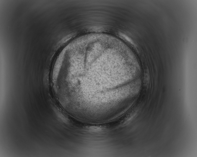 X0000086980394200705071421