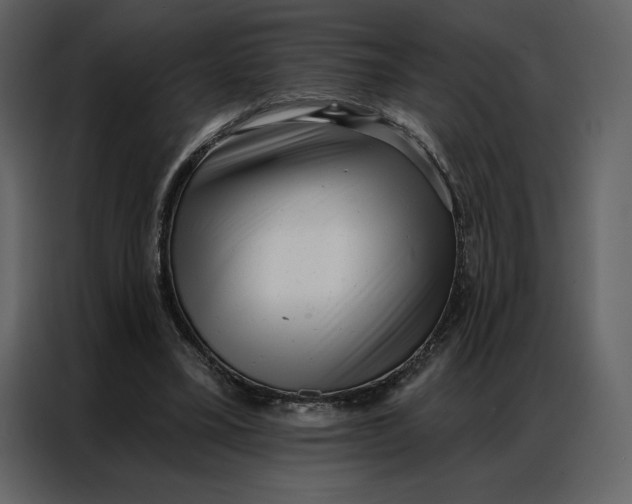 X0000086980395200705071421