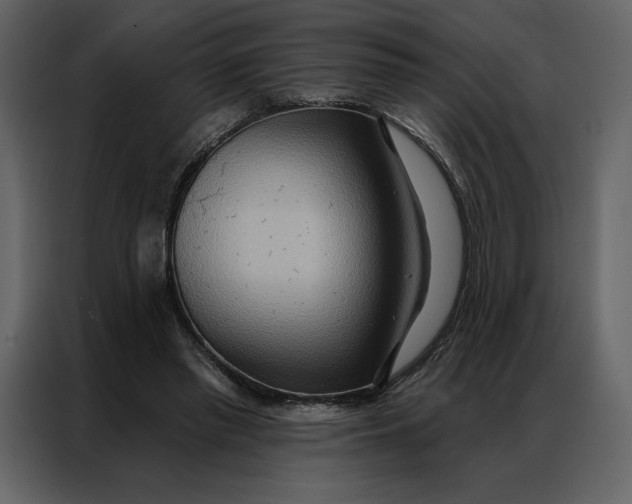 X0000086980397200705071421