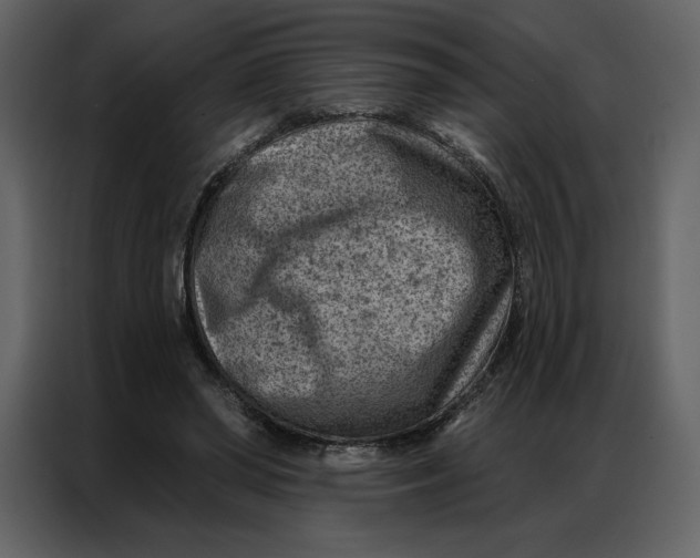 X0000086980398200705071421