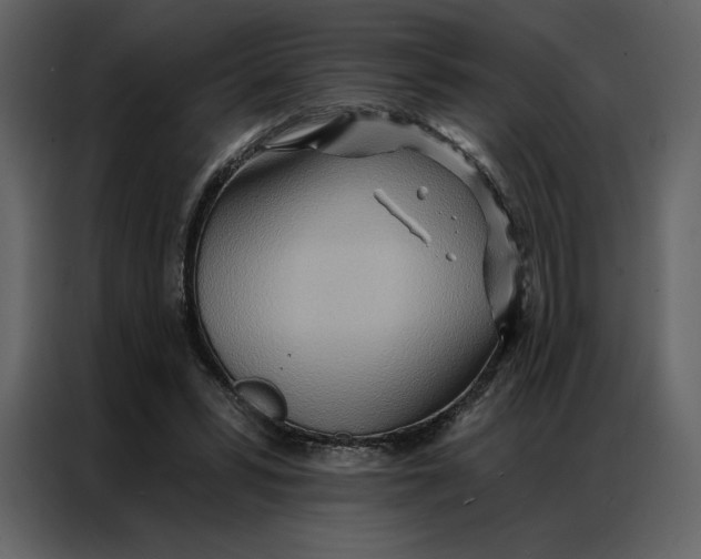 X0000086980399200705071421