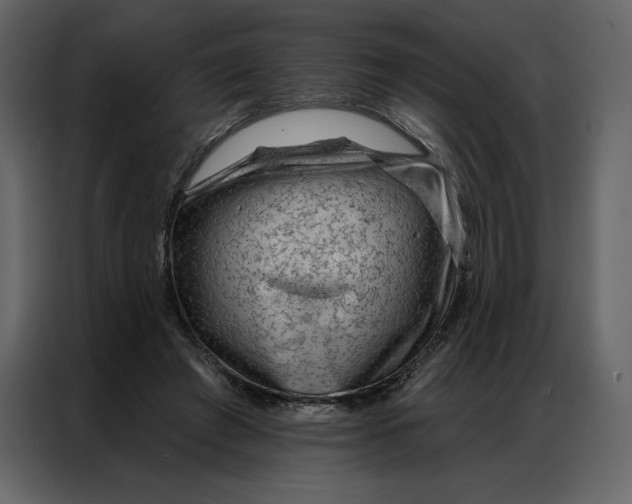 X0000086980401200705071421