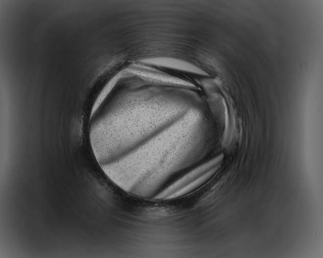 X0000086980404200705071421