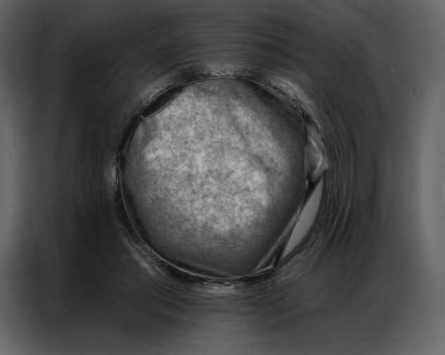 X0000086980405200705071421