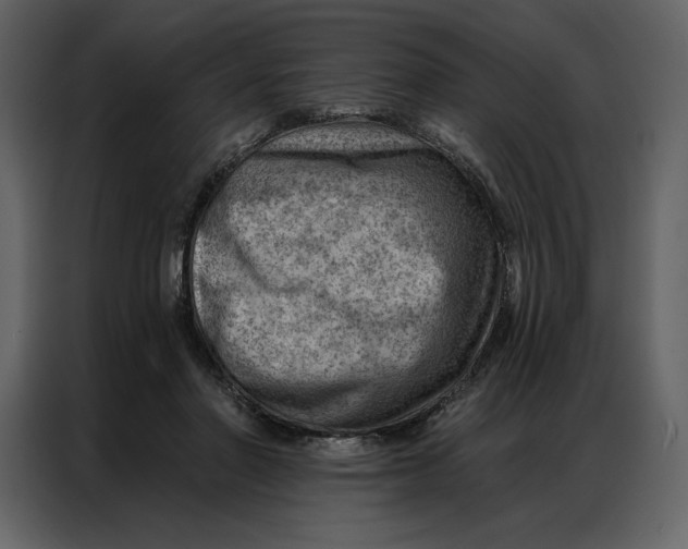 X0000086980406200705071421