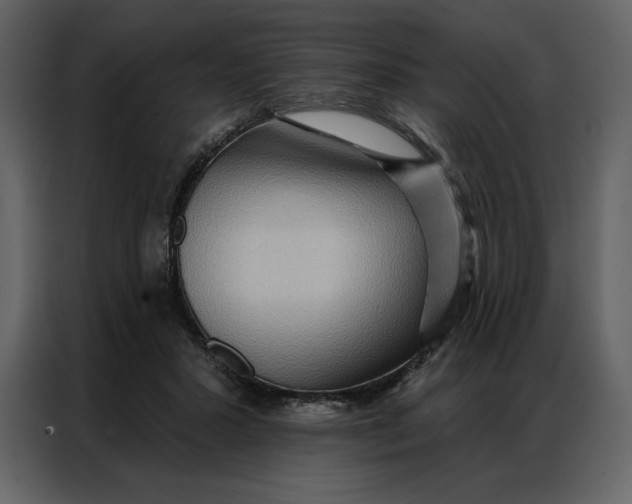 X0000086980407200705071421