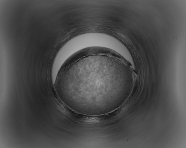 X0000086980409200705071421