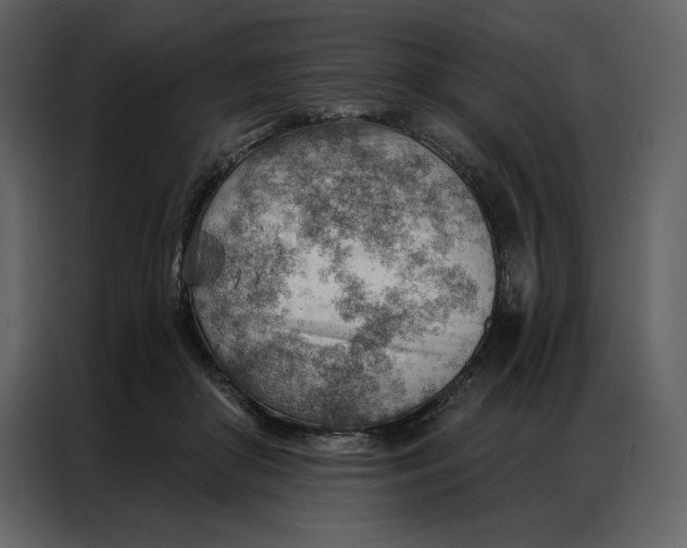 X0000086980410200705071421