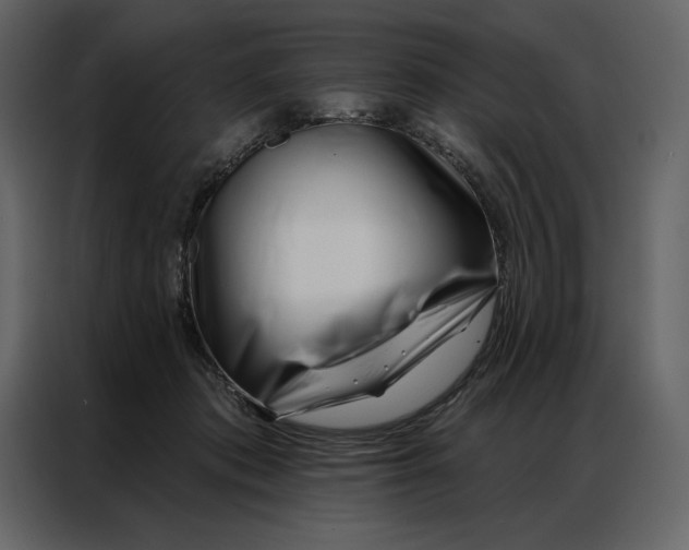 X0000086980413200705071420