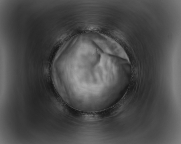 X0000086980415200705071420