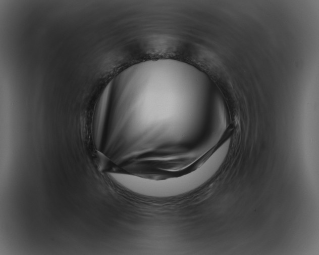 X0000086980416200705071420