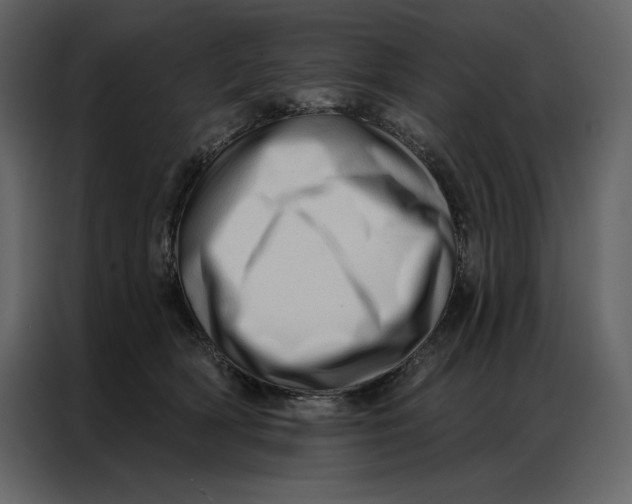 X0000086980418200705071420