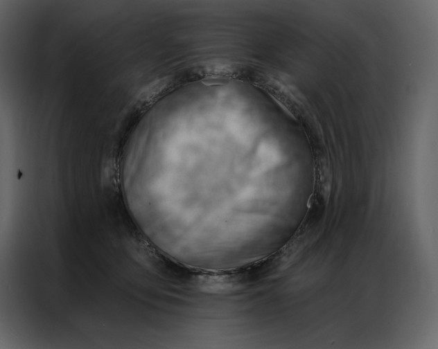 X0000086980419200705071420