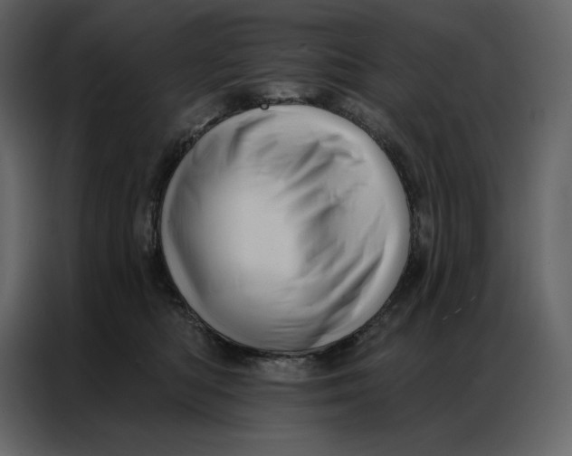 X0000086980422200705071420